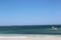 Lancelin Wedge Island (26)